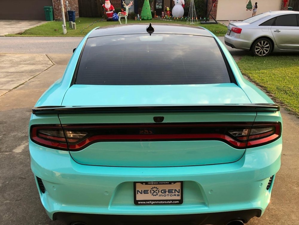 Gloss Tiffany Blue - Aura Vinyl